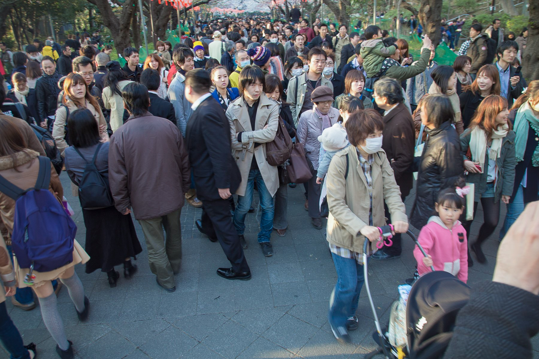 Hanami Men